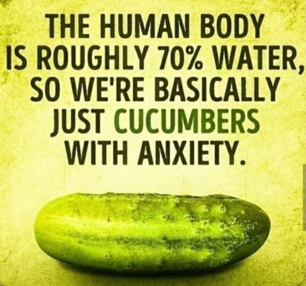 The human body is roughly 70% water, so we're basically just cucumbers with anxiety
