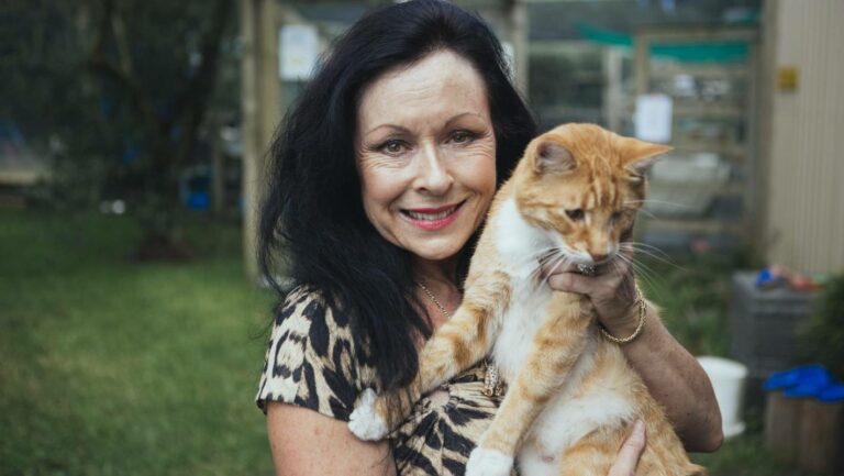 Anne Batley Burtion: NZ Cat Foundation